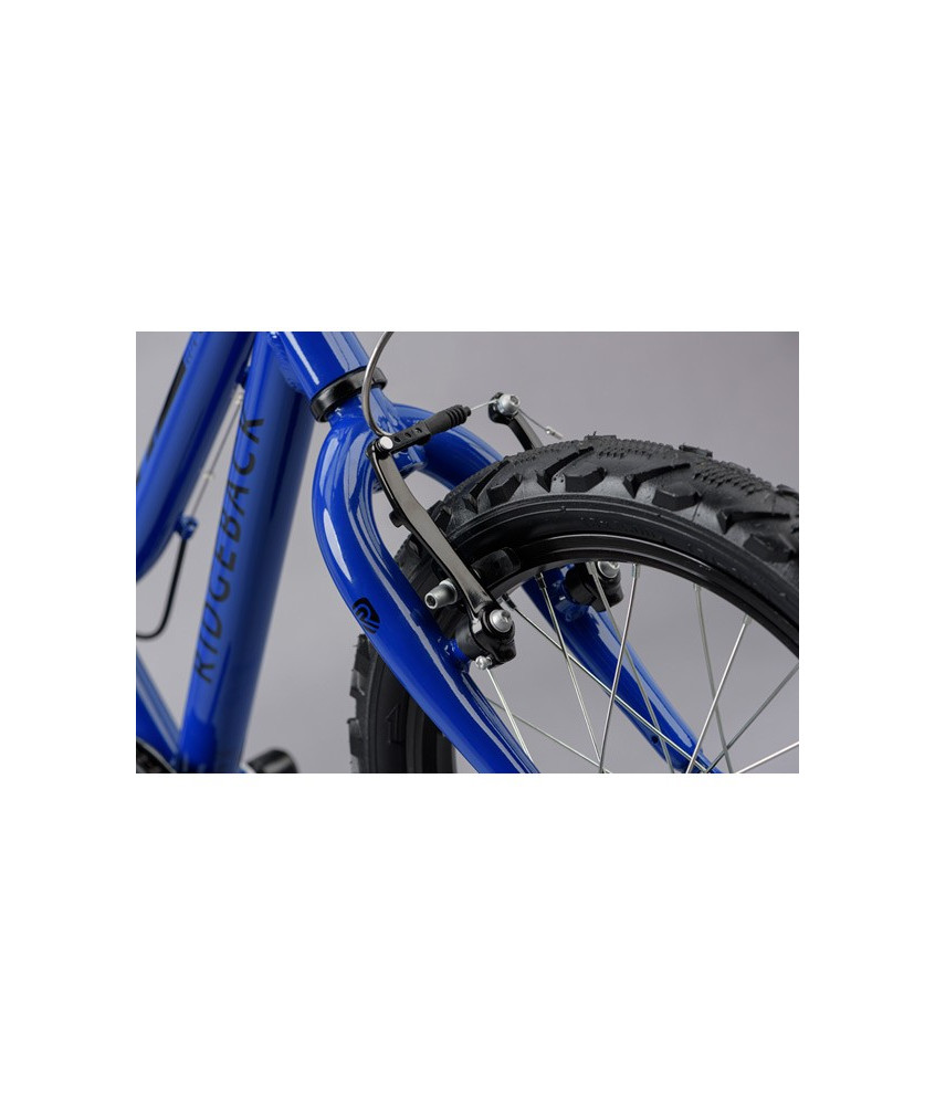 DETSKÝ BICYKEL RIDGEBACK MELODY TEAL RB18