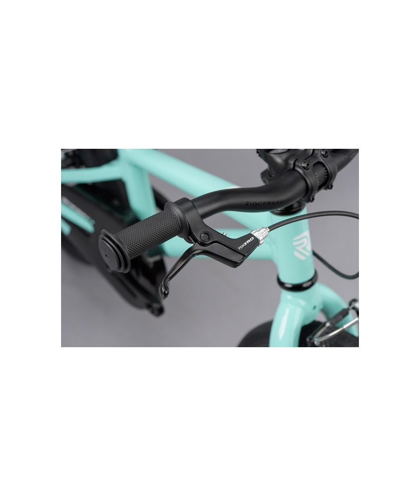 Dimension 14" TURQUOISE 2020
