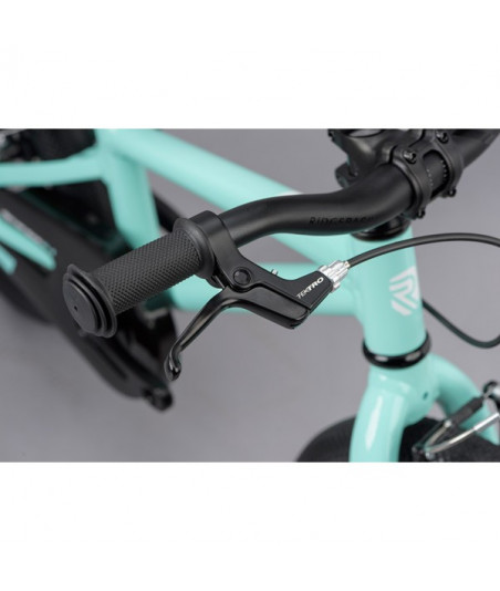 Dimension 14" TURQUOISE 2020