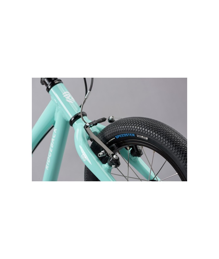 Dimension 14" TURQUOISE 2020