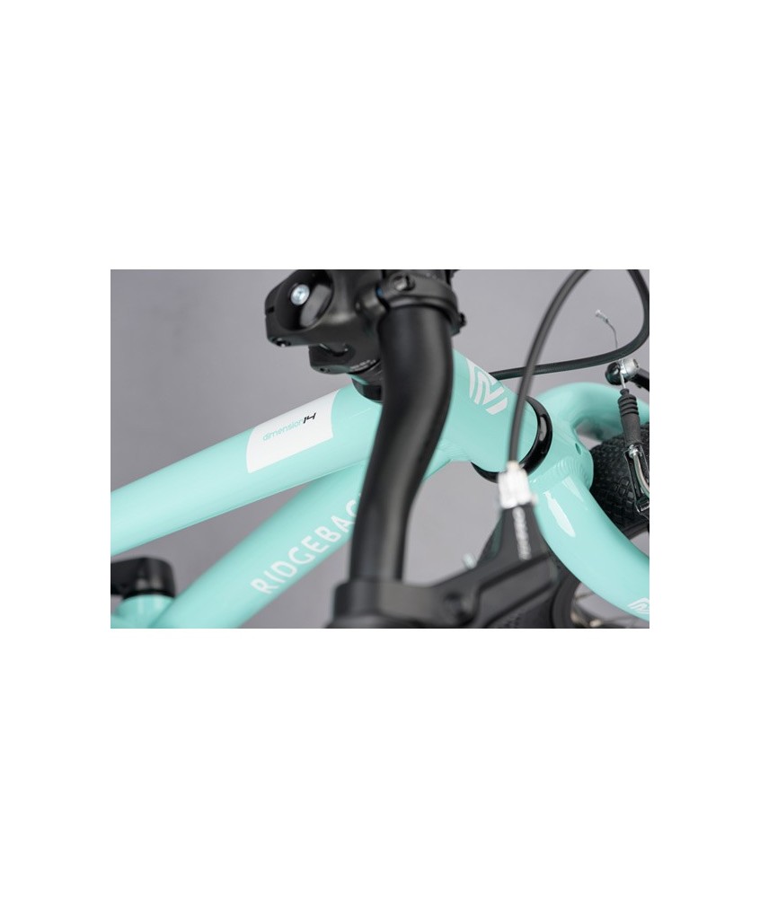 Dimension 14" TURQUOISE 2020