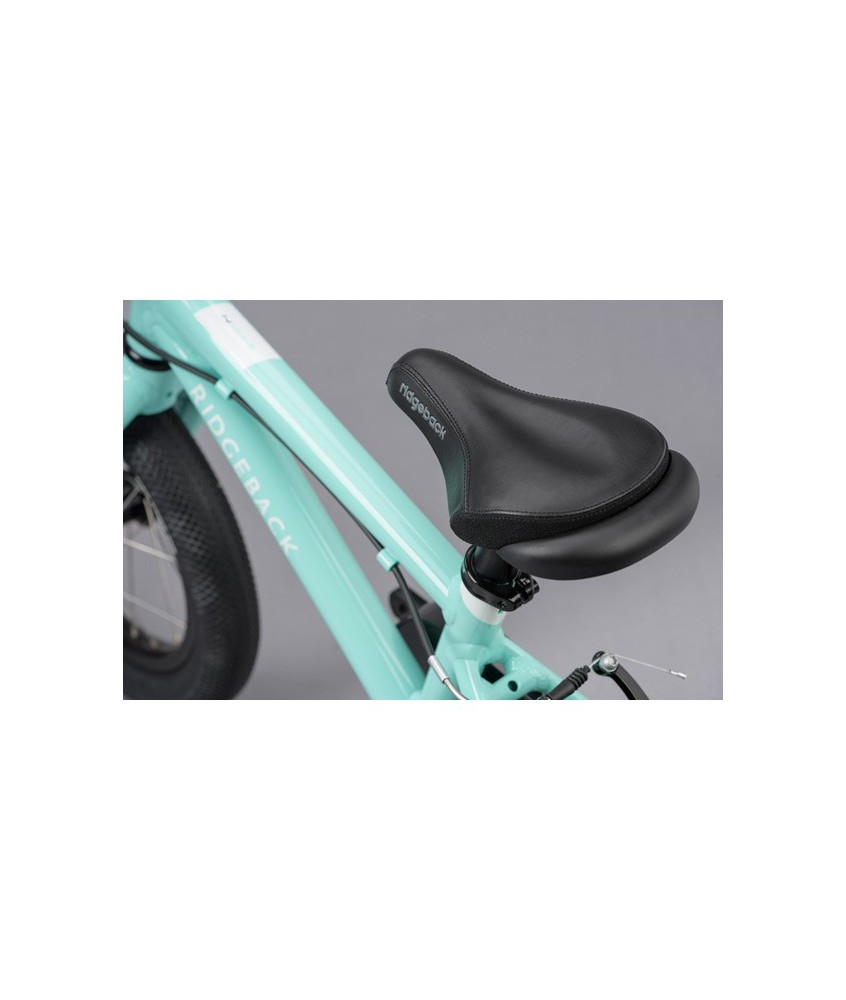 Dimension 14" TURQUOISE 2020