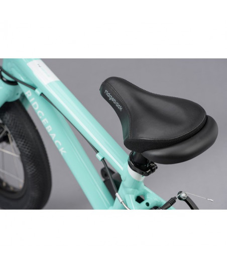 Dimension 14" TURQUOISE 2020